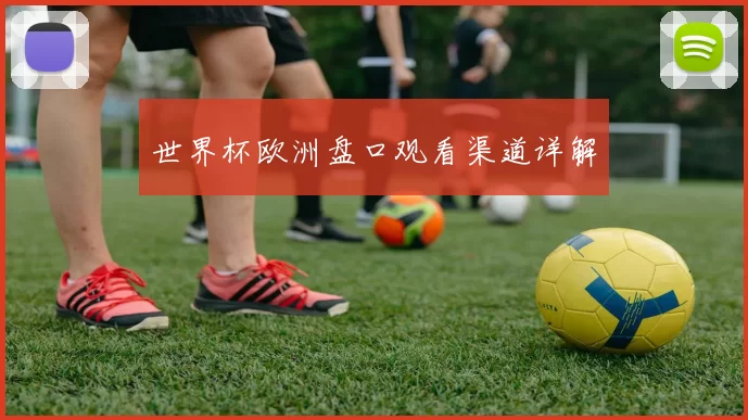 世界杯欧洲盘口观看渠道详解