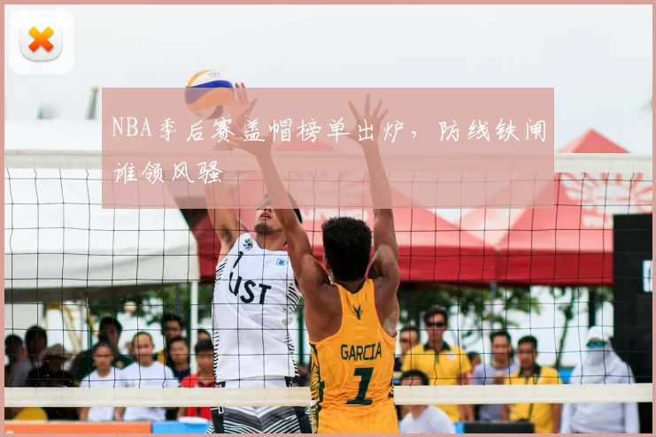 NBA季后赛盖帽榜单出炉，防线铁闸谁领风骚