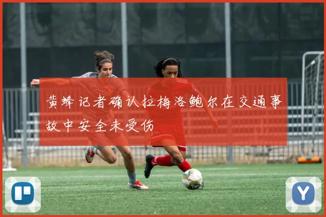 黄蜂记者确认拉梅洛鲍尔在交通事故中安全未受伤