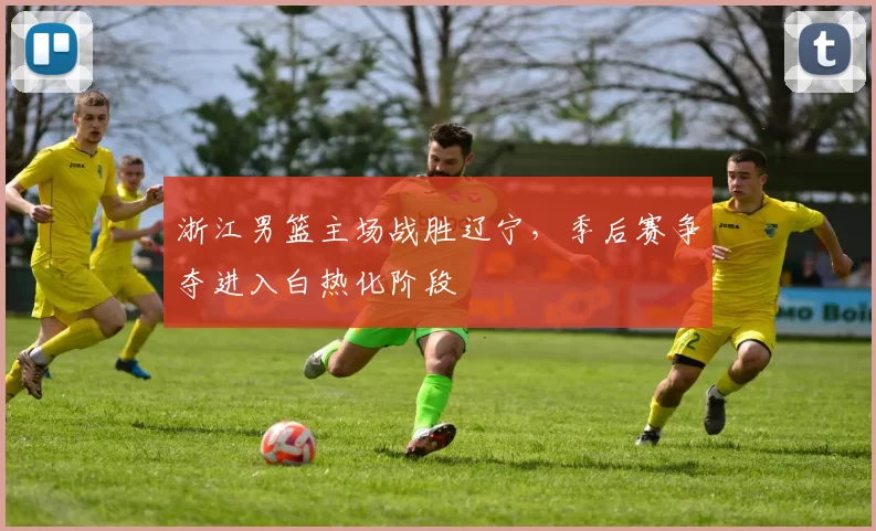 浙江男篮主场战胜辽宁，季后赛争夺进入白热化阶段
