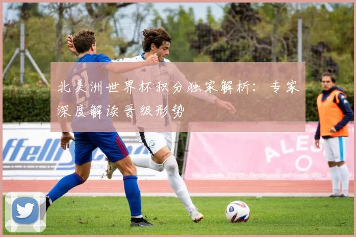 北美洲世界杯积分独家解析:专家深度解读晋级形势