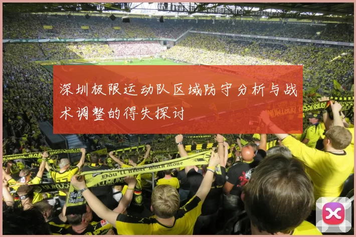 深圳极限运动队区域防守分析与战术调整的得失探讨