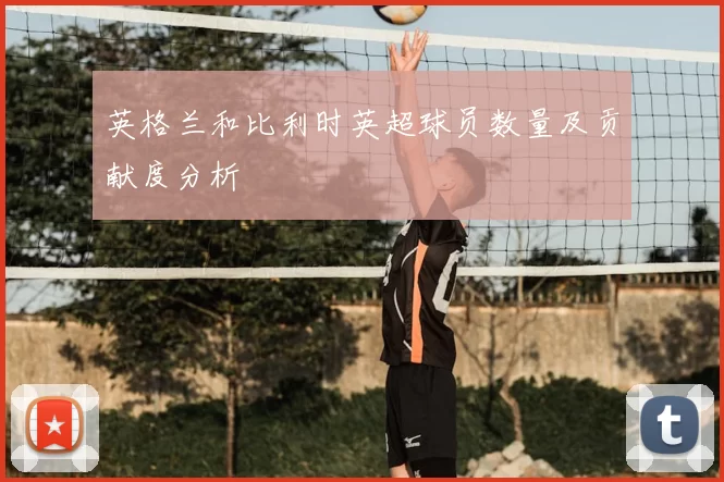 英格兰和比利时英超球员数量及贡献度分析