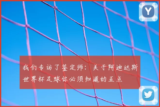 我们专访了鉴定师:关于阿迪达斯世界杯足球你必须知道的五点