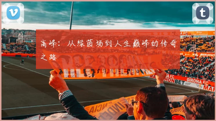 高峰：从绿茵场到人生巅峰的传奇之路