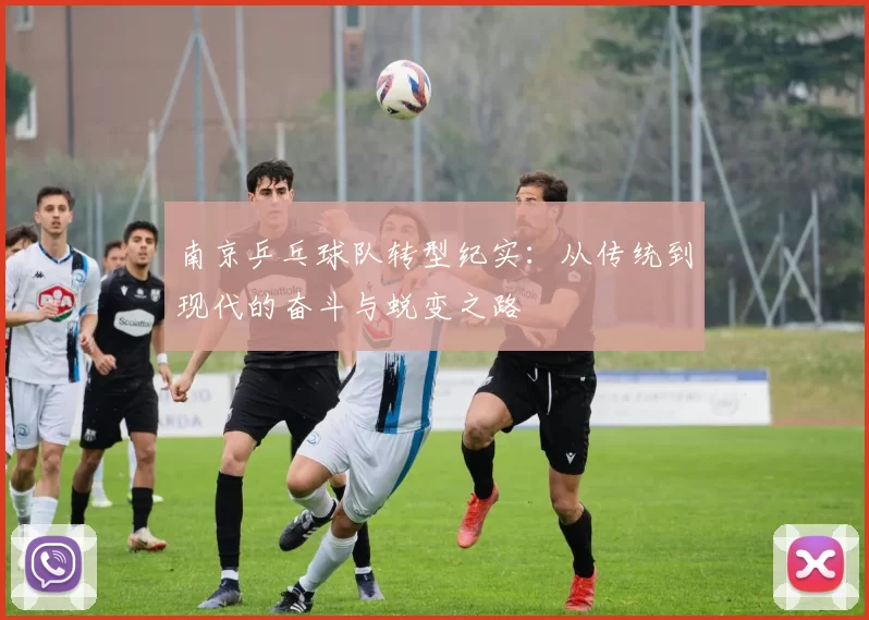 南京乒乓球队转型纪实：从传统到现代的奋斗与蜕变之路