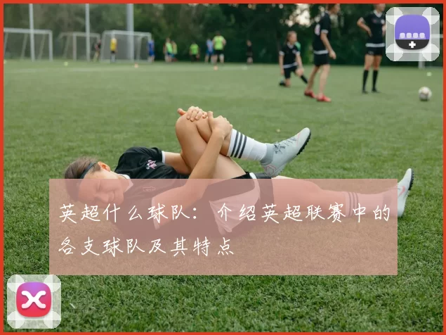 英超什么球队:介绍英超联赛中的各支球队及其特点