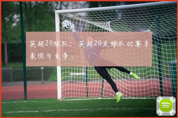 英超20球队：英超20支球队的赛季表现与竞争 .