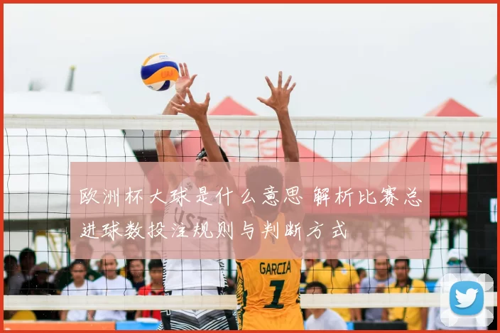 欧洲杯大球是什么意思 解析比赛总进球数投注规则与判断方式