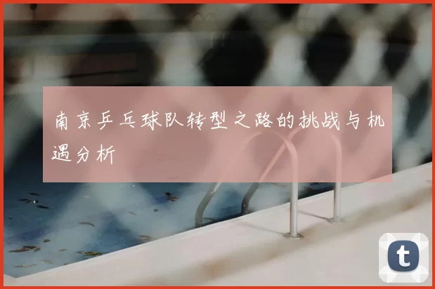 南京乒乓球队转型之路的挑战与机遇分析