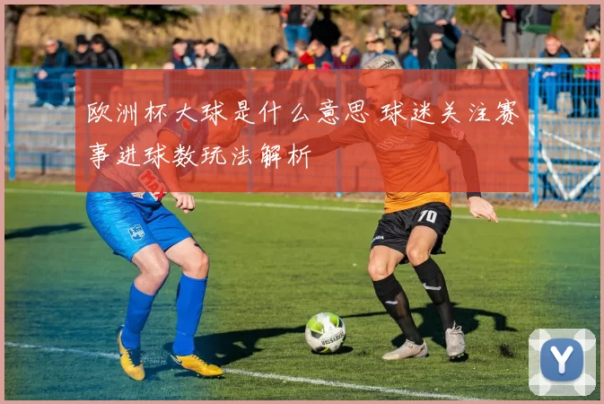 欧洲杯大球是什么意思 球迷关注赛事进球数玩法解析