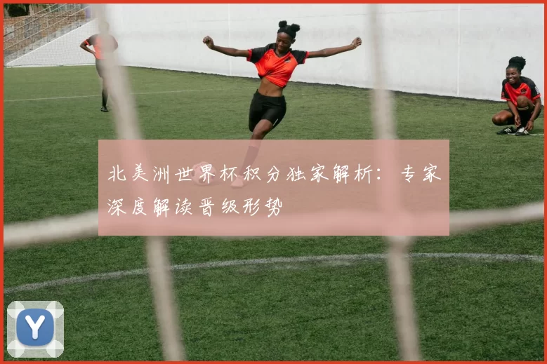 北美洲世界杯积分独家解析：专家深度解读晋级形势