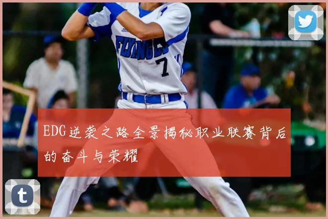 EDG逆袭之路全景揭秘职业联赛背后的奋斗与荣耀