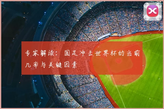 专家解读：国足冲击世界杯的当前几率与关键因素
