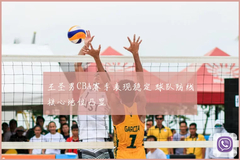 王圣男CBA赛季表现稳定 球队防线核心地位凸显