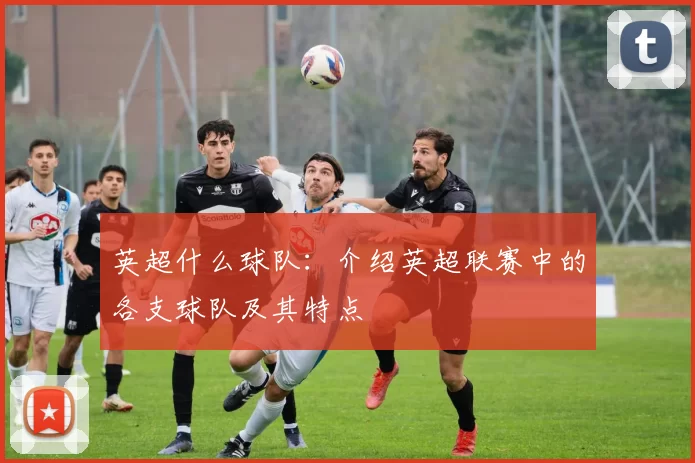 英超什么球队：介绍英超联赛中的各支球队及其特点