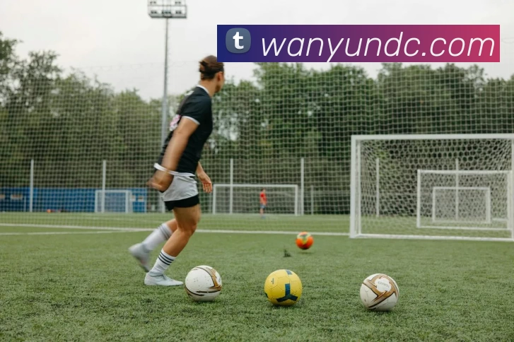 华体会体育发展历程